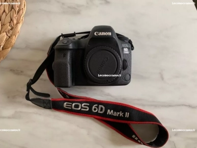 Canon 6D mark II + 24-105 f4 II