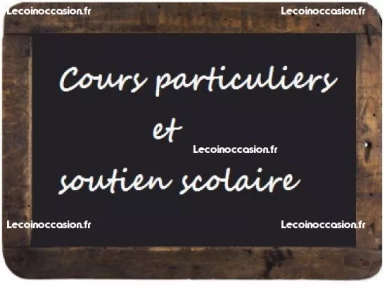 Cours de Français et langues étrangères par webcam.