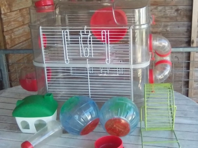 Vends cage et accessoires pour hamster 
