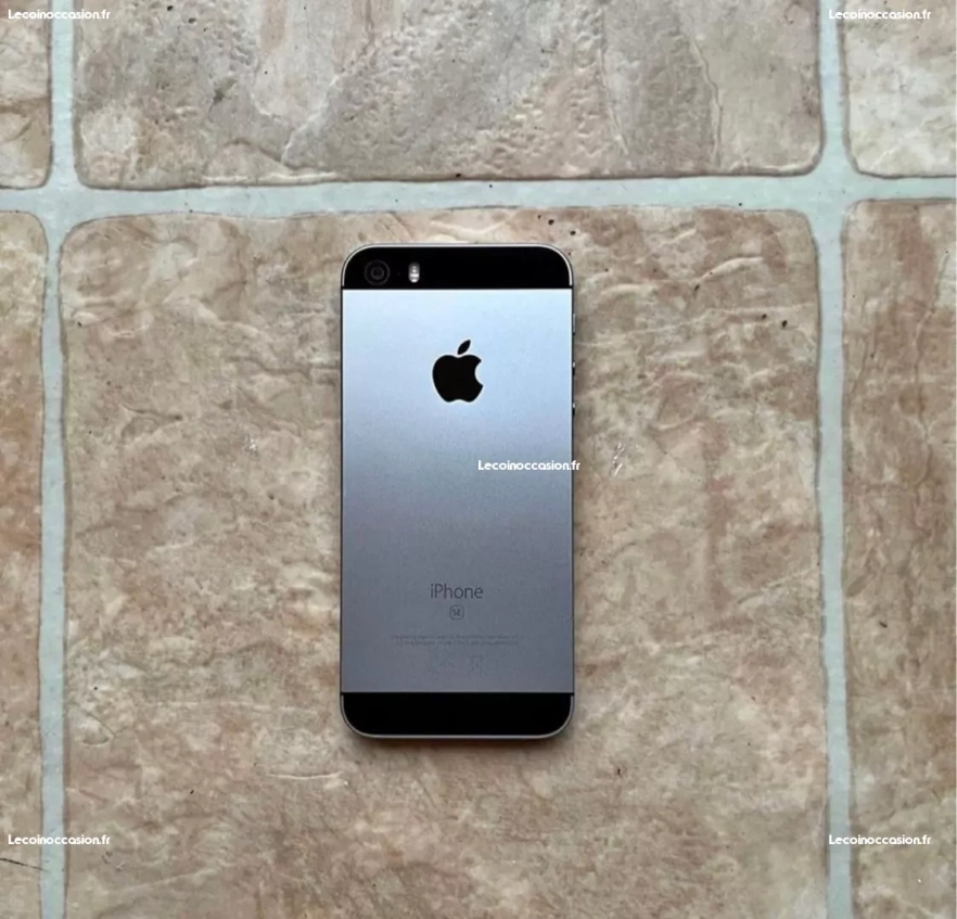 iPhone SE 2016 gris sidéral avec boîte et accessoires